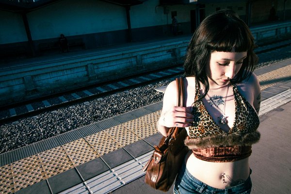 Entdecken sie die vielfältigen kräuter und gewürze für den echten geschmack von traditionellem marokkanischem minztee